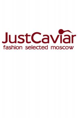 Модный выбор Москвы лакомство для избранных  выставка JustCalivarМодный выбор Москвы лакомство для избранных  выставка JustCaliv