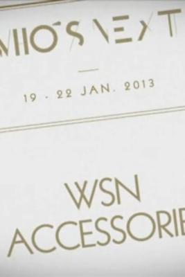 Тенденции: Аксессуары. FW 2013/2014 (Выставка Who’s Next) (41249.WhosNext.accessories.b.jpg)