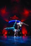 В Москве в VIP-зоне Tapis Rouge шоу KOOZA Cirque Du Soleil состоялось специальное мероприятие MEGACARD с участием большого количества приглашенных. Среди них – победители акции, партнеры программы и журналисты ведущих российских изданий. 