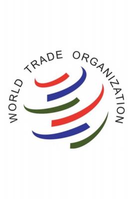С сентября будут снижены ввозные пошлины на ткани, одежду, обувь и другие товарные позиции (59024.WTO.b.jpg)