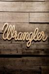 Компания VF, владелец джинсового бренда Wrangler, открыла первый в России фирменный магазин в Москве. До сих пор бренд развивался в мультибрендовом формате, часто с другим брендом из портфолио компании VF, не менее известной джинсовой маркой Lee. В интерьере нового джинсового магазина используются натуральные материалы (камень, дерево, железо), которые традиционно ассоциируются с джинсовой культурой и передают идею подлинности и аутентичности.