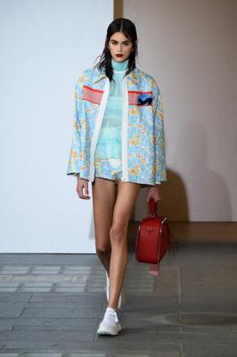 Miu Miu resort 2019 (80251-Miu-Miu-Resort-2019-08.jpg)