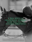 Бренд H&M объявил о запуске линии одежды и аксессуаров для конного спорта с названием All in Equestrian. В связи с этим его представителями был подписан контракт с Global Champions League. Это соревнования по конному спорту, которые проходят по всему миру. H&M будет поставлять экипировку для спортсменов.