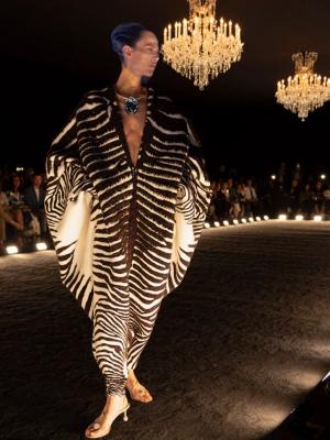 Schiaparelli Haute Couture осень-зима 2024 (103397-schiaparelli-couture-fw-06.jpg)