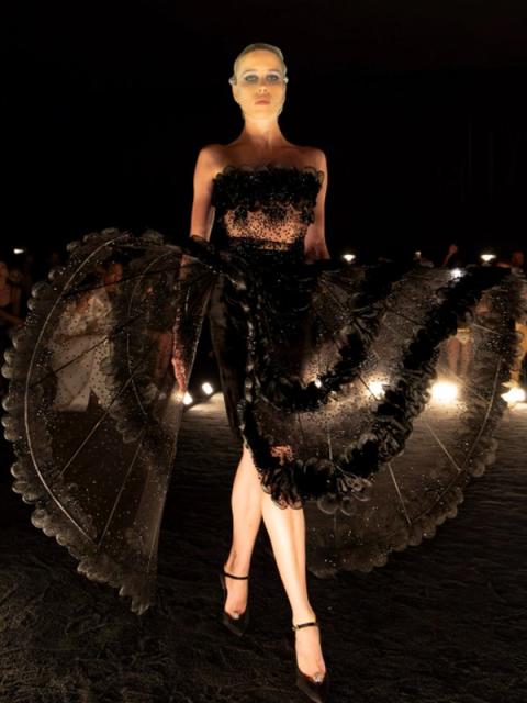 Schiaparelli Haute Couture осень-зима 2024 (103397-schiaparelli-couture-fw-09.jpg)