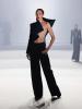 Stephane Rolland осень-зима 2024 (103931-stephane-rolland-fw-2024-b.jpg)