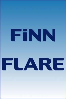 Развитие сети Finn Flare на родине марки (1058.b.jpg)