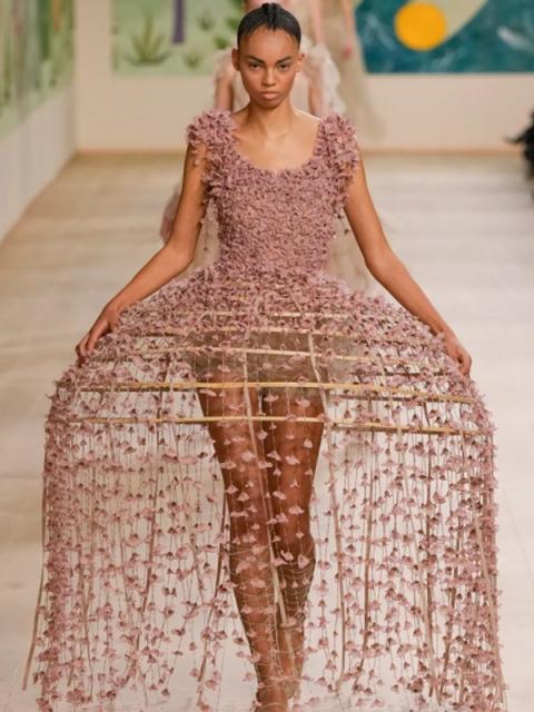 Dior Couture весна-лето 2025 (106012-dior-couture-ss-b.jpg)