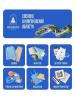 Сделанное в Новгородской области на Озоне (111124-sdelano-v-novgorodskoy-oblasti-b.jpg)