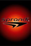 Компания SPRANDI выступает с инициативой создания эксклюзивной коллекции в сотрудничестве с молодыми и перспективными дизайнерами России.