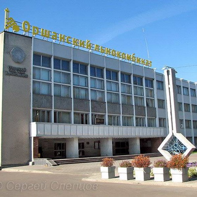 Оршанский льнокомбинат будет выпускать котолен  (20182.Orshanski.s.jpg)