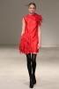 Новые коллекции Vera Wang FW-2011 (осень-зима) (22604.Wang_.08.jpg)