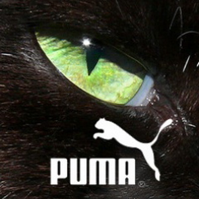 Биологически разлагаемая продукция от Puma  (35796.Puma_.Franz_.Koch_.22.Modeli.Biological.s.jpg)