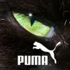 Биологически разлагаемая продукция от Puma 
