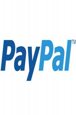 Исследование PayPal и DataInsight: Интернет в жизни покупателей (48845.Collaborative.Investigation.PayPal.DataInsight.Internet.B