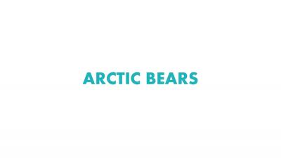 Крылова Елена – ARCTIC BEARS