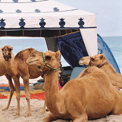 Ralph Lauren SS 2015: одна модель и пять верблюдов  (54417.New_.Advertising.Campaign.Ralph_.Lauren.SS_.2015.s.jpg)