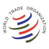 С сентября будут снижены ввозные пошлины на ткани, одежду, обувь и другие товарные позиции (59024.WTO.s.jpg)