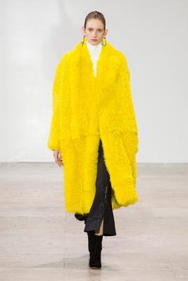 Ellery AW 2017 (73760-Ellery-AW-2017-19.jpg)