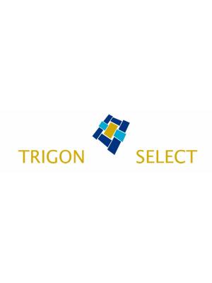 Российское представительство Trigon Select займется сертификацией предприятий (84923-Trigon-Select-b.jpg)