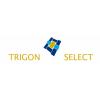 Российское представительство Trigon Select займется сертификацией предприятий (84923-Trigon-Select-s.jpg)