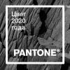 Бесплатный вебинар: Цвет 2020 года Pantone