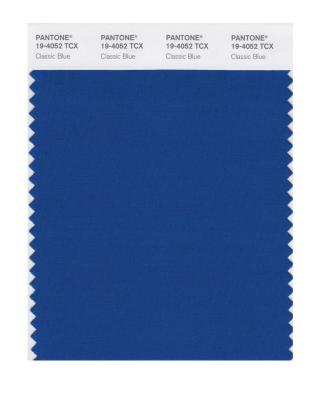 PANTONE 19-4052