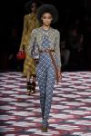 Miu Miu осень-зима 2020 (87246-Miu-Miu-AW-2020-17.jpg)